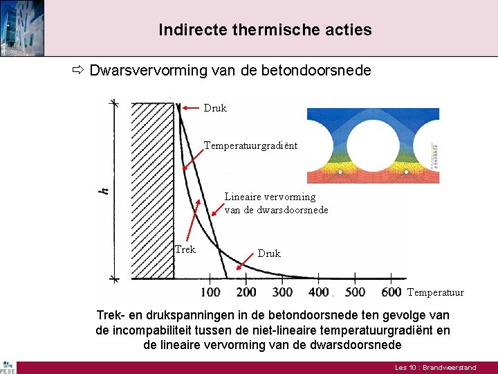 Indirecte thermische acties Dwarsvervorming van de betondoorsnede Druk Temperatuurgradiënt Lineaire vervorming van de dwarsdoorsnede