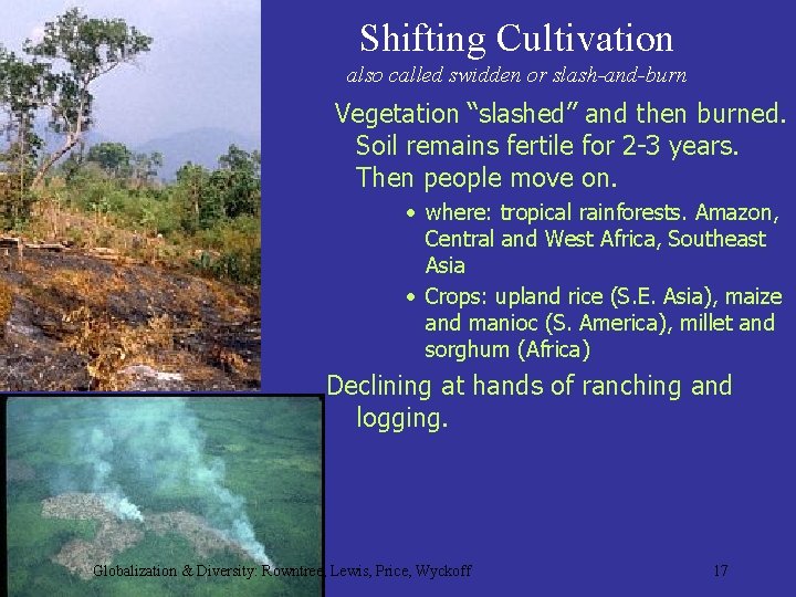 Shifting Cultivation also called swidden or slash-and-burn Vegetation “slashed” and then burned. Soil remains