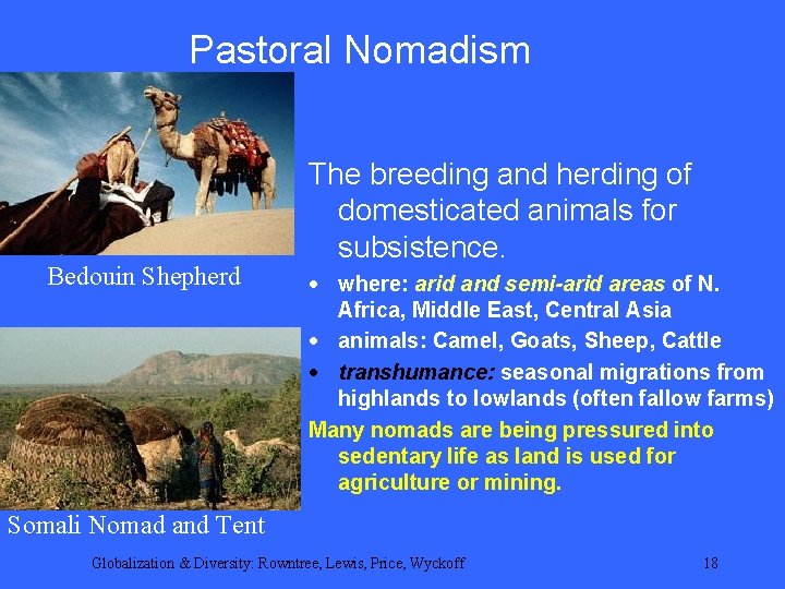 Pastoral Nomadism Bedouin Shepherd The breeding and herding of domesticated animals for subsistence. ·