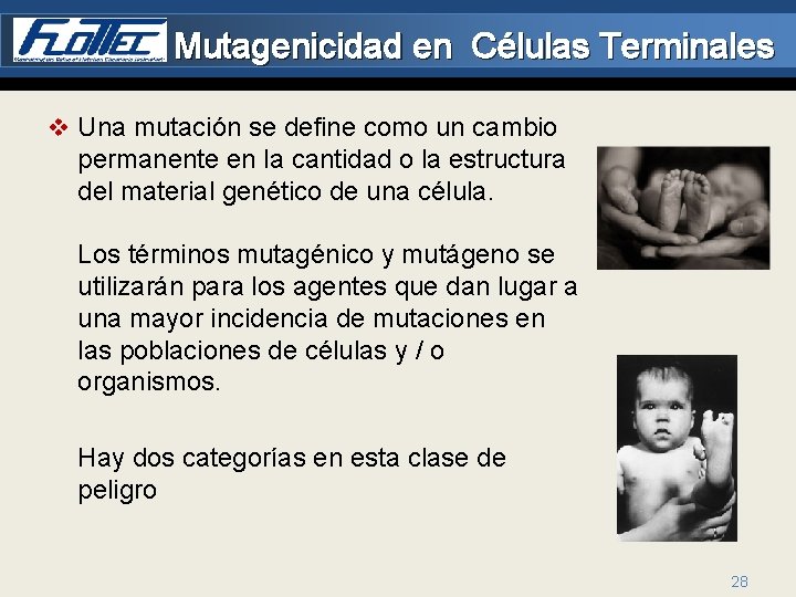 Mutagenicidad en Células Terminales v Una mutación se define como un cambio permanente en