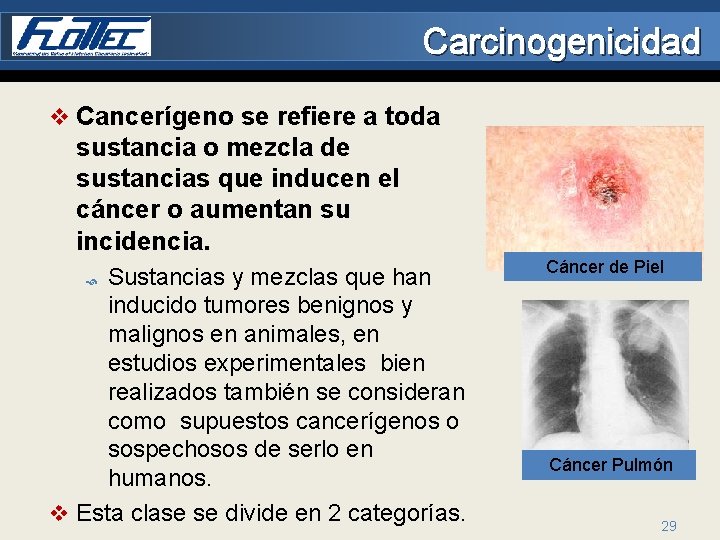Carcinogenicidad v Cancerígeno se refiere a toda sustancia o mezcla de sustancias que inducen