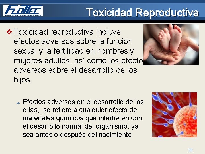 Toxicidad Reproductiva v Toxicidad reproductiva incluye efectos adversos sobre la función sexual y la