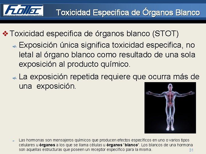 Toxicidad Especifica de Órganos Blanco v Toxicidad especifica de órganos blanco (STOT) Exposición única