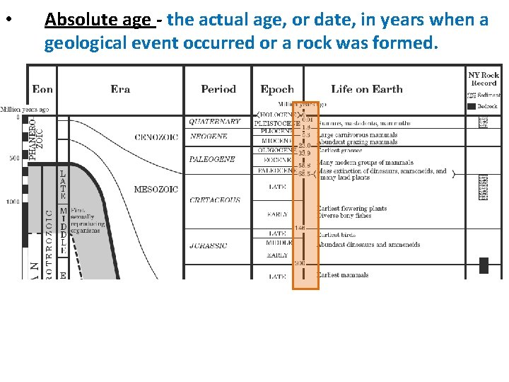  • Absolute age - the actual age, or date, in years when a