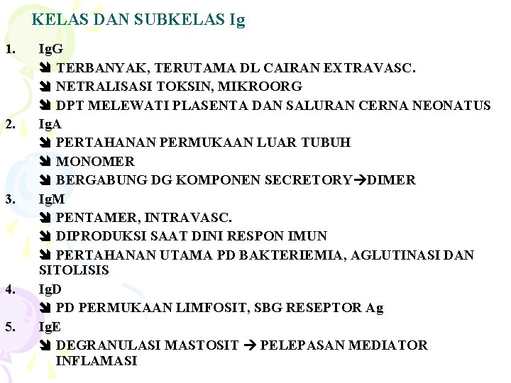 KELAS DAN SUBKELAS Ig 1. 2. 3. 4. 5. Ig. G TERBANYAK, TERUTAMA DL