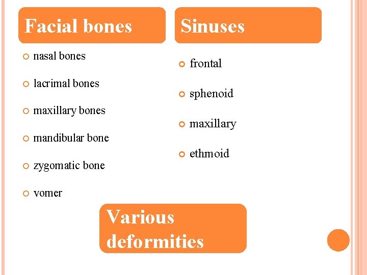 Facial bones nasal bones lacrimal bones Sinuses frontal sphenoid maxillary ethmoid maxillary bones mandibular
