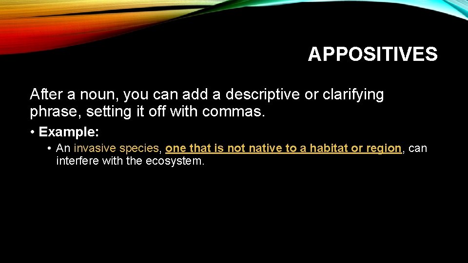 APPOSITIVES After a noun, you can add a descriptive or clarifying phrase, setting it