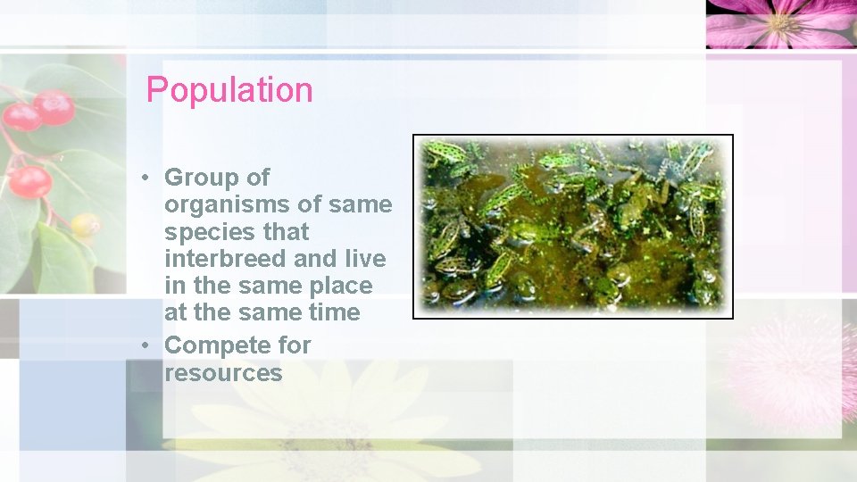 Population • Group of organisms of same species that interbreed and live in the