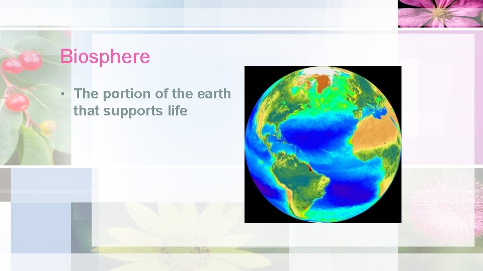 Biosphere • The portion of the earth that supports life 