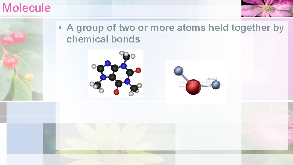 Molecule • A group of two or more atoms held together by chemical bonds