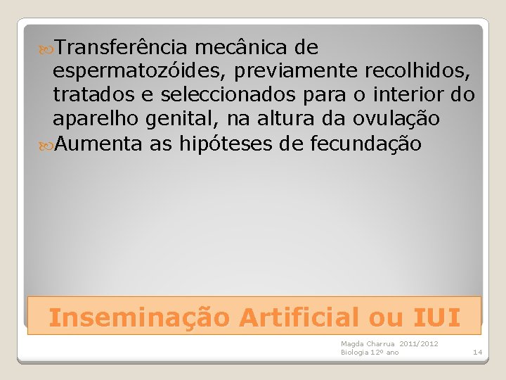  Transferência mecânica de espermatozóides, previamente recolhidos, tratados e seleccionados para o interior do