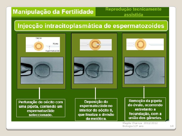 Magda Charrua 2011/2012 Biologia 12º ano 18 