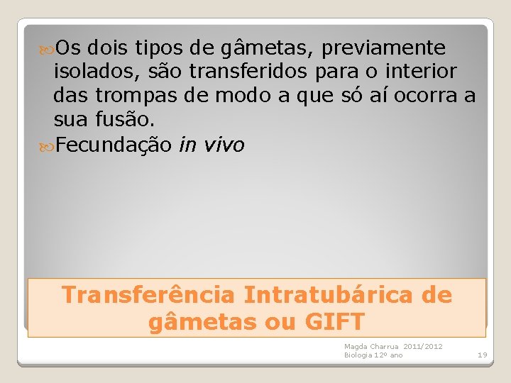  Os dois tipos de gâmetas, previamente isolados, são transferidos para o interior das