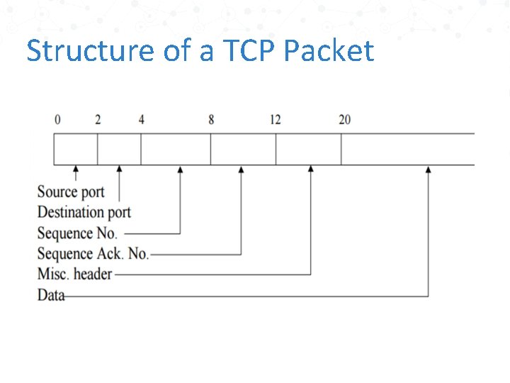 Structure of a TCP Packet 