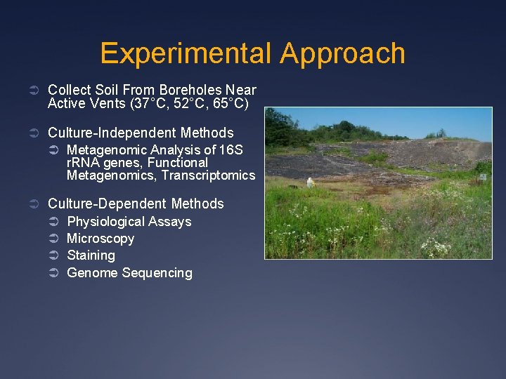 Experimental Approach Ü Collect Soil From Boreholes Near Active Vents (37°C, 52°C, 65°C) Ü