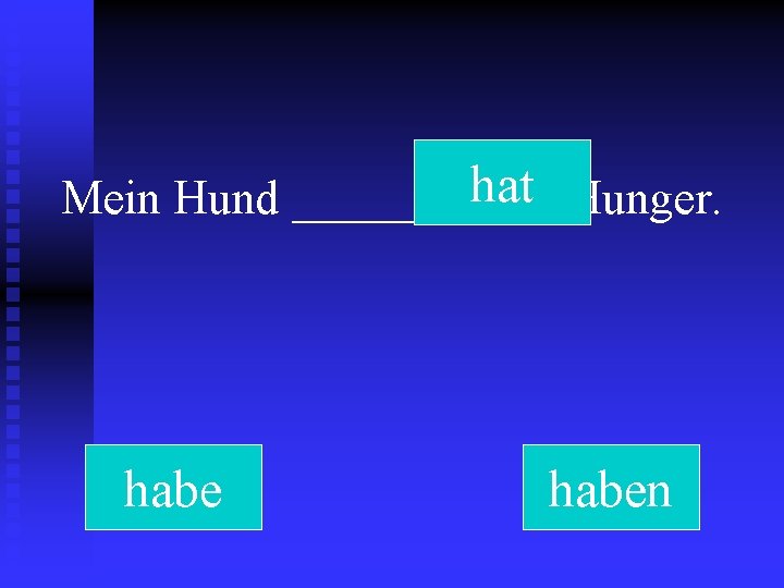 hat Hunger. Mein Hund ______ haben 