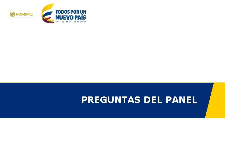 PREGUNTAS DEL PANEL 