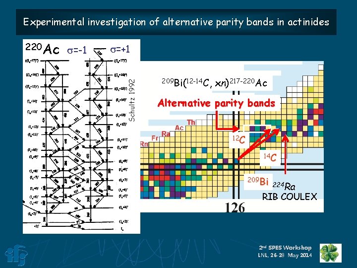 Experimental investigation of alternative parity bands in actinides s=+1 1980 -1990 Beams : C,