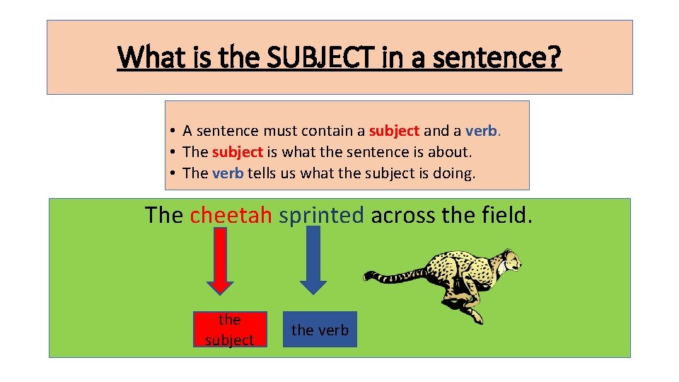 What is the SUBJECT in a sentence? • A sentence must contain a subject