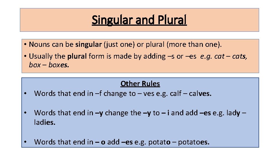 Singular and Plural • Nouns can be singular (just one) or plural (more than