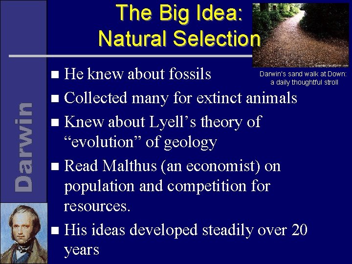 The Big Idea: Natural Selection Darwin’s sand walk at Down: He knew about fossils