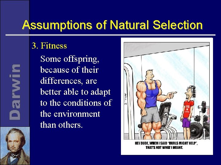 Assumptions of Natural Selection 3. Fitness Some offspring, because of their differences, are better