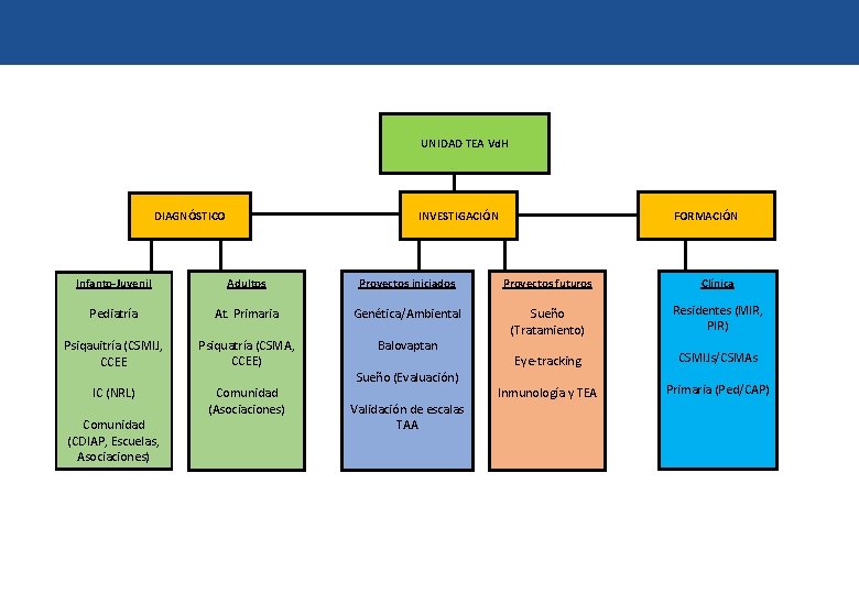 UNIDAD TEA Vd. H INVESTIGACIÓN DIAGNÓSTICO FORMACIÓN Infanto-Juvenil Adultos Proyectos iniciados Proyectos futuros Clínica