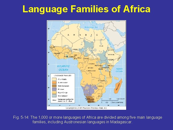 Language Families of Africa Fig. 5 -14: The 1, 000 or more languages of