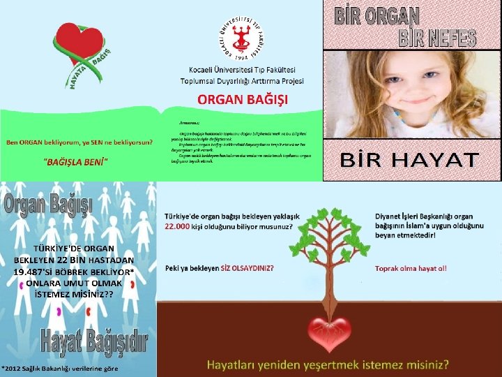 Hazırladığımız broşür ve afişler 