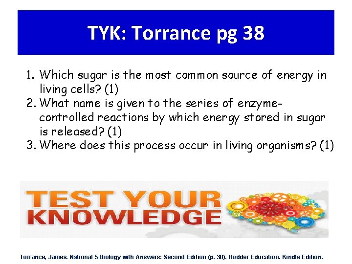 TYK: Torrance pg 38 1. Which sugar is the most common source of energy