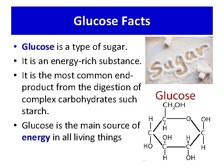 Glucose Facts • Glucose is a type of sugar. • It is an energy-rich