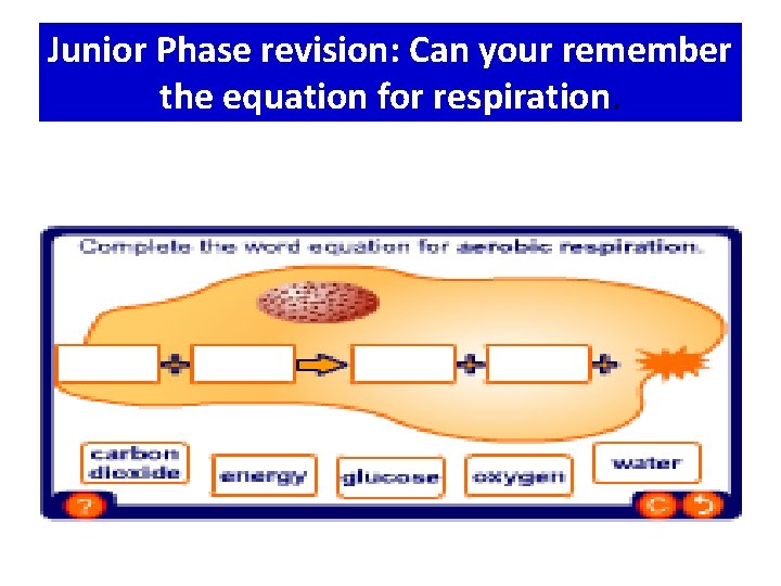 Junior Phase revision: Can your remember the equation for respiration. 