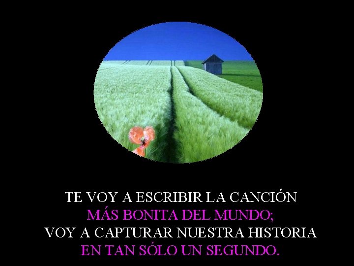 TE VOY A ESCRIBIR LA CANCIÓN MÁS BONITA DEL MUNDO; VOY A CAPTURAR NUESTRA
