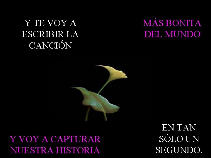 Y TE VOY A ESCRIBIR LA CANCIÓN Y VOY A CAPTURAR NUESTRA HISTORIA MÁS