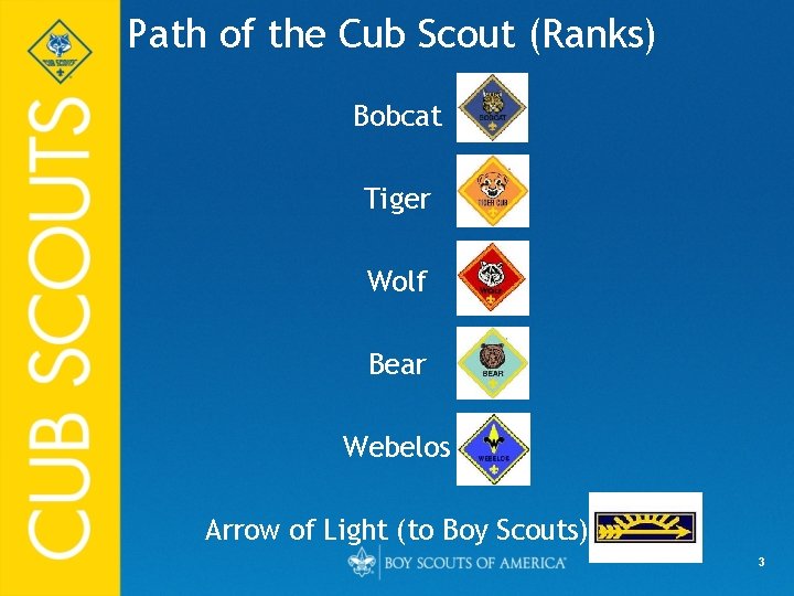 Path of the Cub Scout (Ranks) Bobcat Tiger Wolf Bear Webelos Arrow of Light