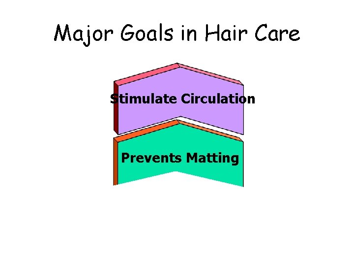 Major Goals in Hair Care Stimulate Circulation Prevents Matting 