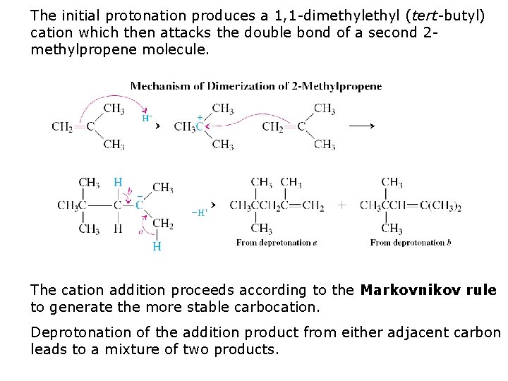 The initial protonation produces a 1, 1 -dimethyl (tert-butyl) cation which then attacks the