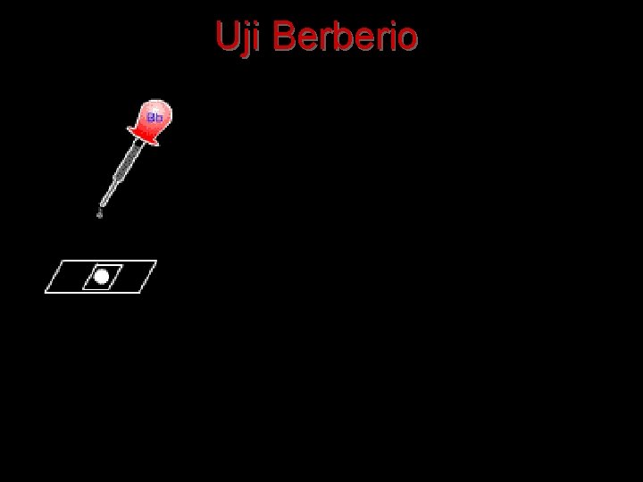 Uji Berberio 