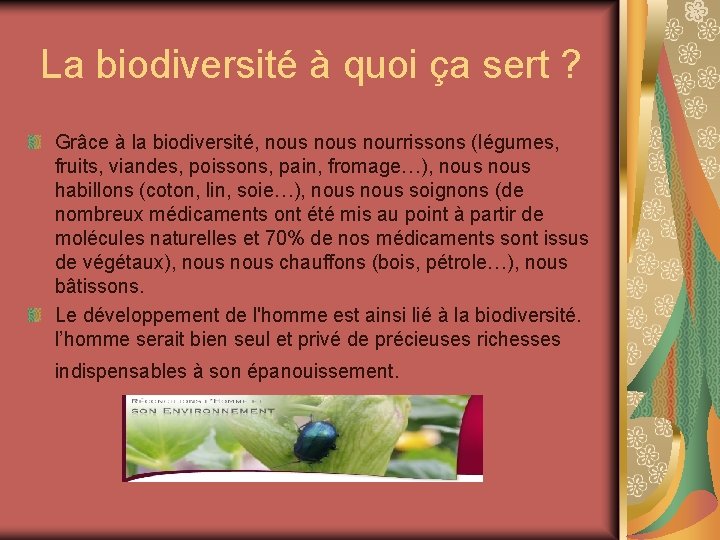 La biodiversité à quoi ça sert ? Grâce à la biodiversité, nous nourrissons (légumes,