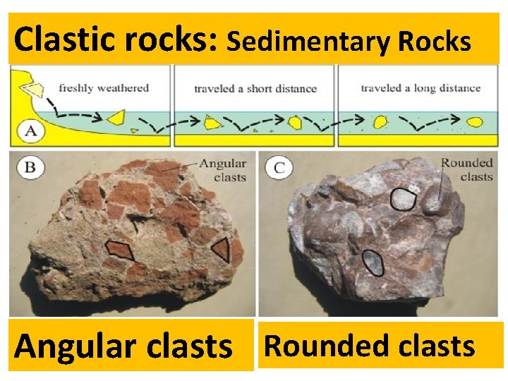 Clastic rocks: Sedimentary Rocks Angular clasts Rounded clasts 