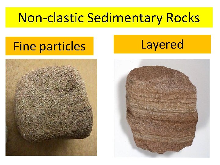 Non-clastic Sedimentary Rocks Fine particles Layered 