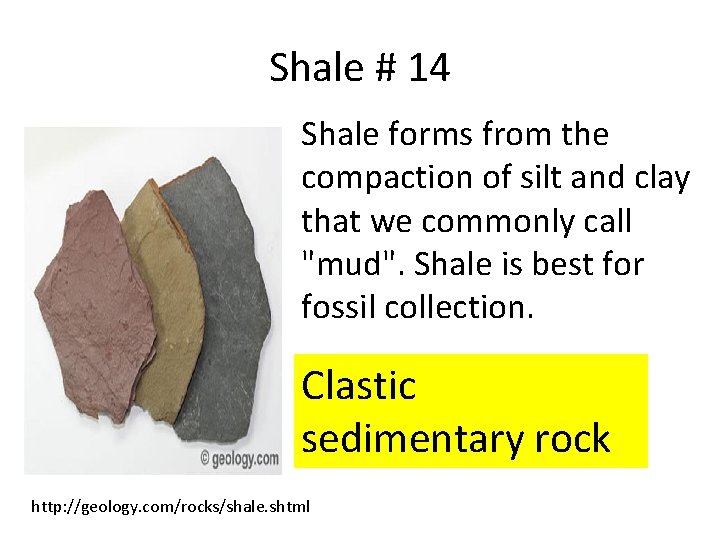 Shale # 14 Shale forms from the compaction of silt and clay that we