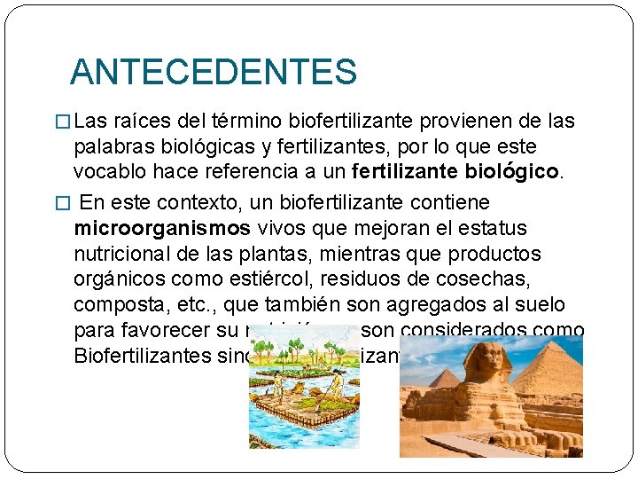 ANTECEDENTES � Las raíces del término biofertilizante provienen de las palabras biológicas y fertilizantes,