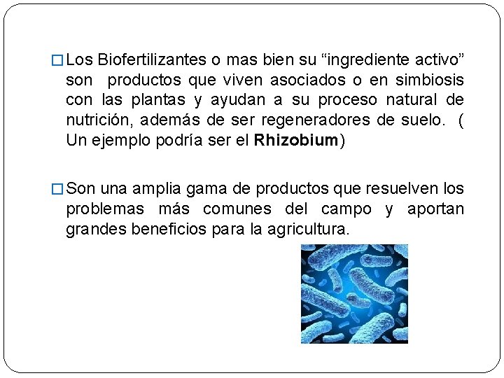 � Los Biofertilizantes o mas bien su “ingrediente activo” son productos que viven asociados