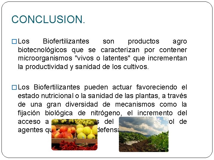 CONCLUSION. � Los Biofertilizantes son productos agro biotecnológicos que se caracterizan por contener microorganismos