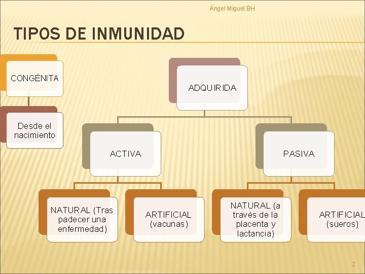 Ángel Miguel BH TIPOS DE INMUNIDAD CONGÉNITA ADQUIRIDA Desde el nacimiento ACTIVA NATURAL (Tras
