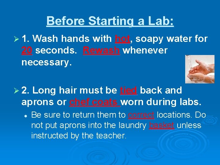 Before Starting a Lab: Ø 1. Wash hands with hot, soapy water for 20