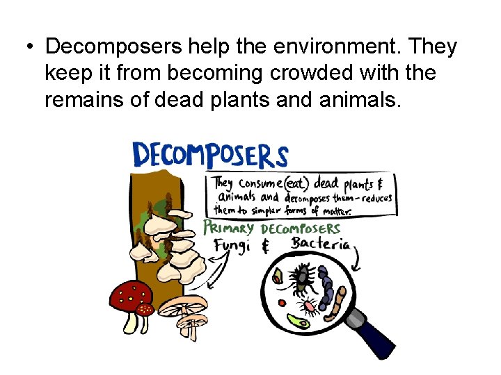  • Decomposers help the environment. They keep it from becoming crowded with the