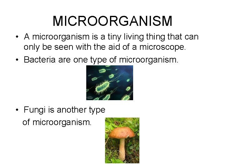 MICROORGANISM • A microorganism is a tiny living that can only be seen with