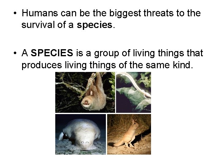  • Humans can be the biggest threats to the survival of a species.